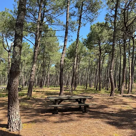 Ouest A 300m Des Plages